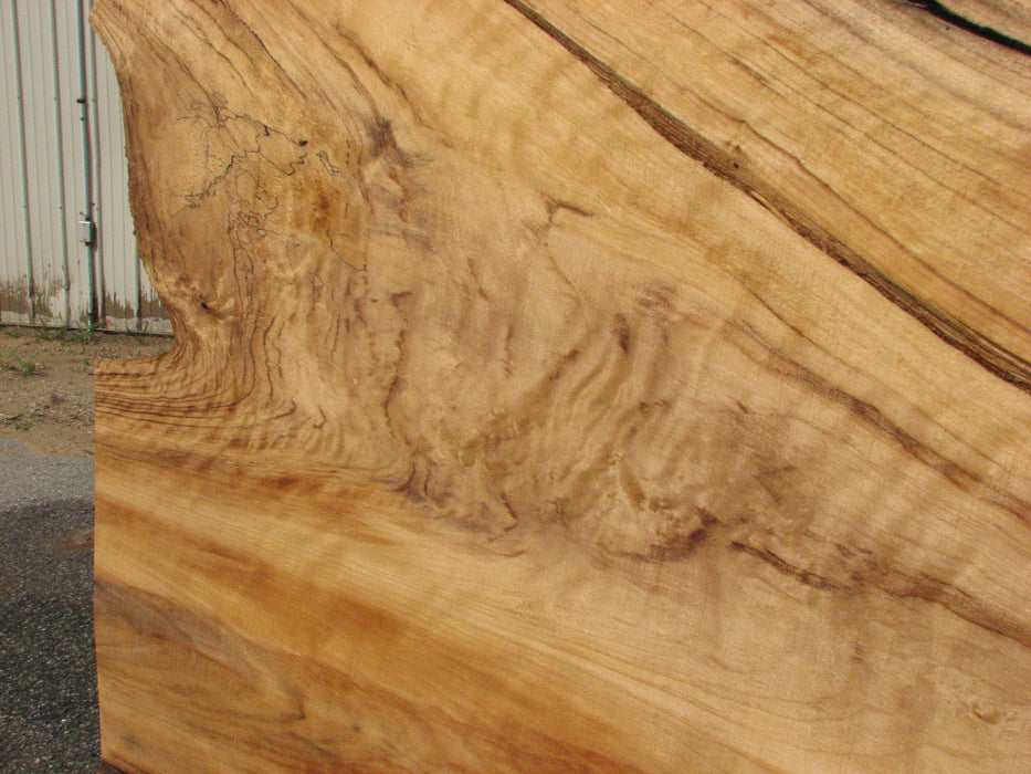 Cottonwood #7616(ROC) - 2-1/2" x 19" to 39" x 109" FREE SHIPPING within the Contiguous US. freeshipping - Big Wood Slabs