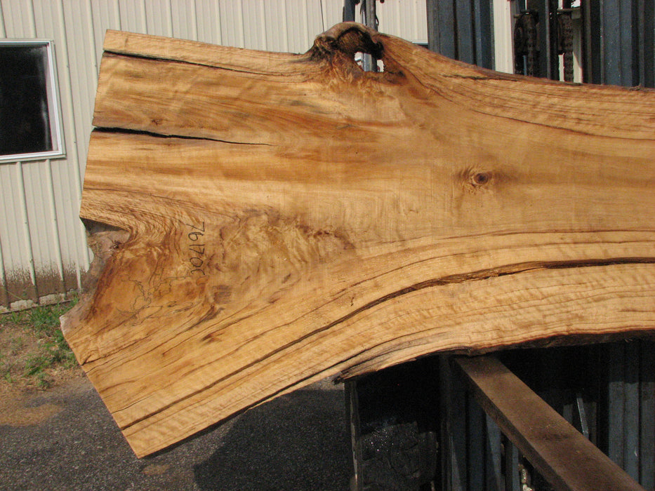 Cottonwood #7617(ROC) - 2-3/4" x 24" to 41" x 109" FREE SHIPPING within the Contiguous US. freeshipping - Big Wood Slabs