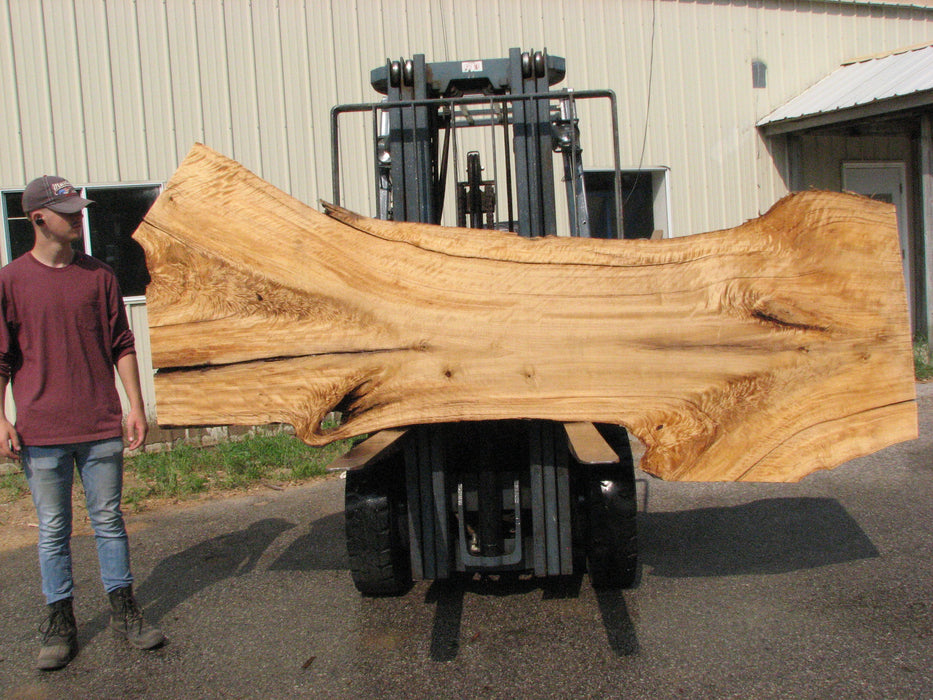 Cottonwood #7617(ROC) - 2-3/4" x 24" to 41" x 109" FREE SHIPPING within the Contiguous US. freeshipping - Big Wood Slabs