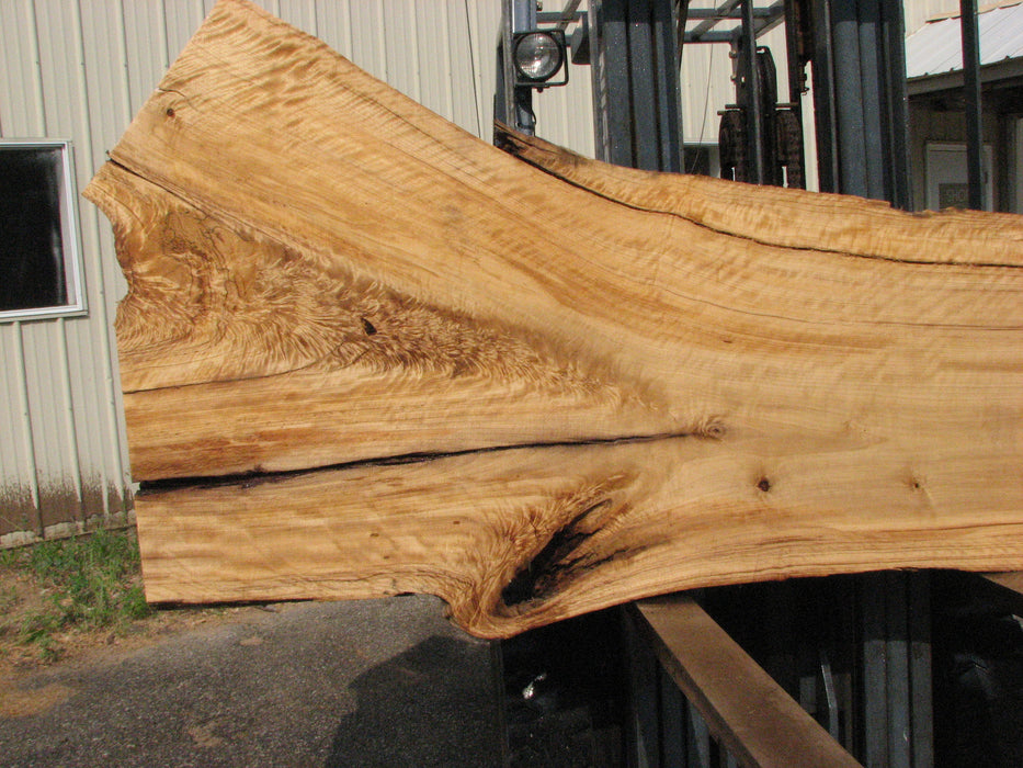Cottonwood #7617(ROC) - 2-3/4" x 24" to 41" x 109" FREE SHIPPING within the Contiguous US. freeshipping - Big Wood Slabs