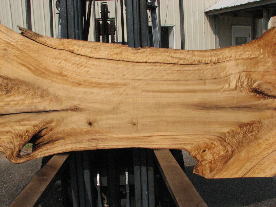Cottonwood #7617(ROC) - 2-3/4" x 24" to 41" x 109" FREE SHIPPING within the Contiguous US. freeshipping - Big Wood Slabs