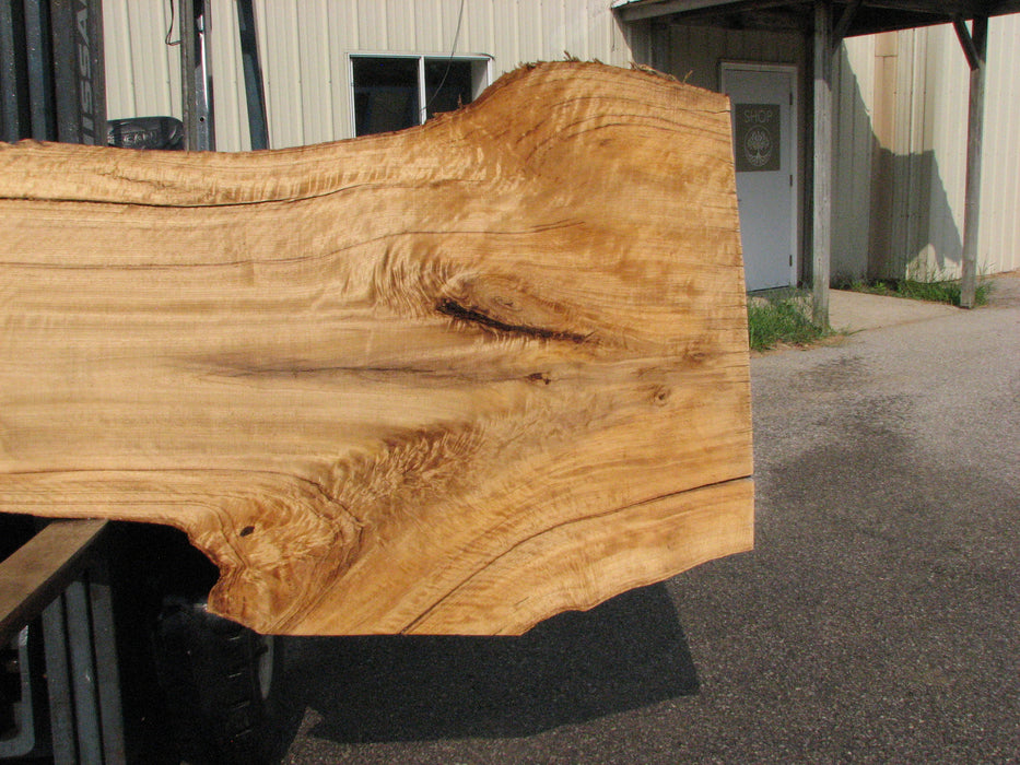 Cottonwood #7617(ROC) - 2-3/4" x 24" to 41" x 109" FREE SHIPPING within the Contiguous US. freeshipping - Big Wood Slabs