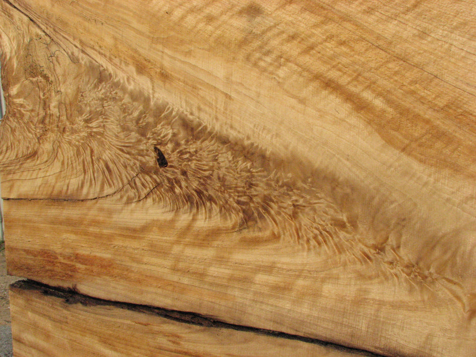 Cottonwood #7617(ROC) - 2-3/4" x 24" to 41" x 109" FREE SHIPPING within the Contiguous US. freeshipping - Big Wood Slabs