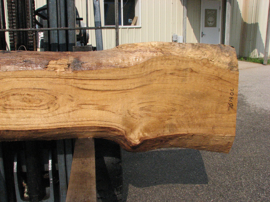 Cottonwood #7618(ROC) - 2-3/4" x 11" to 19" x 89" (Back side is 18"-26" wide) FREE SHIPPING within the Contiguous US. freeshipping - Big Wood Slabs