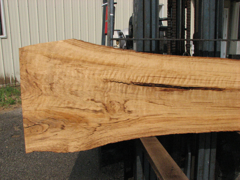 Cottonwood #7618(ROC) - 2-3/4" x 11" to 19" x 89" (Back side is 18"-26" wide) FREE SHIPPING within the Contiguous US. freeshipping - Big Wood Slabs