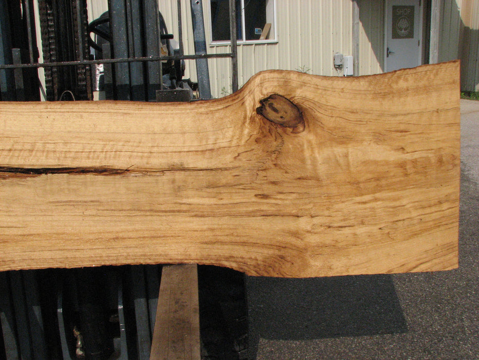 Cottonwood #7618(ROC) - 2-3/4" x 11" to 19" x 89" (Back side is 18"-26" wide) FREE SHIPPING within the Contiguous US. freeshipping - Big Wood Slabs
