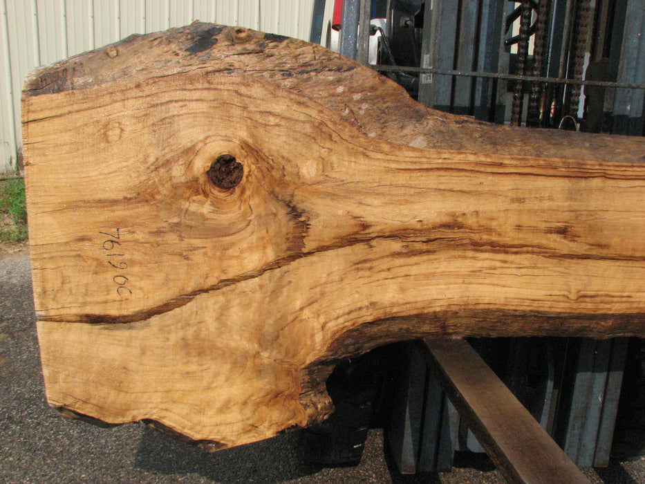 Cottonwood #7619(ROC) - 2-3/4" x 13" to 32" x 96" (Back side is 19"-37" wide) FREE SHIPPING within the Contiguous US. freeshipping - Big Wood Slabs