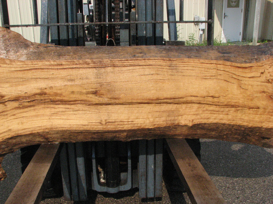 Cottonwood #7619(ROC) - 2-3/4" x 13" to 32" x 96" (Back side is 19"-37" wide) FREE SHIPPING within the Contiguous US. freeshipping - Big Wood Slabs