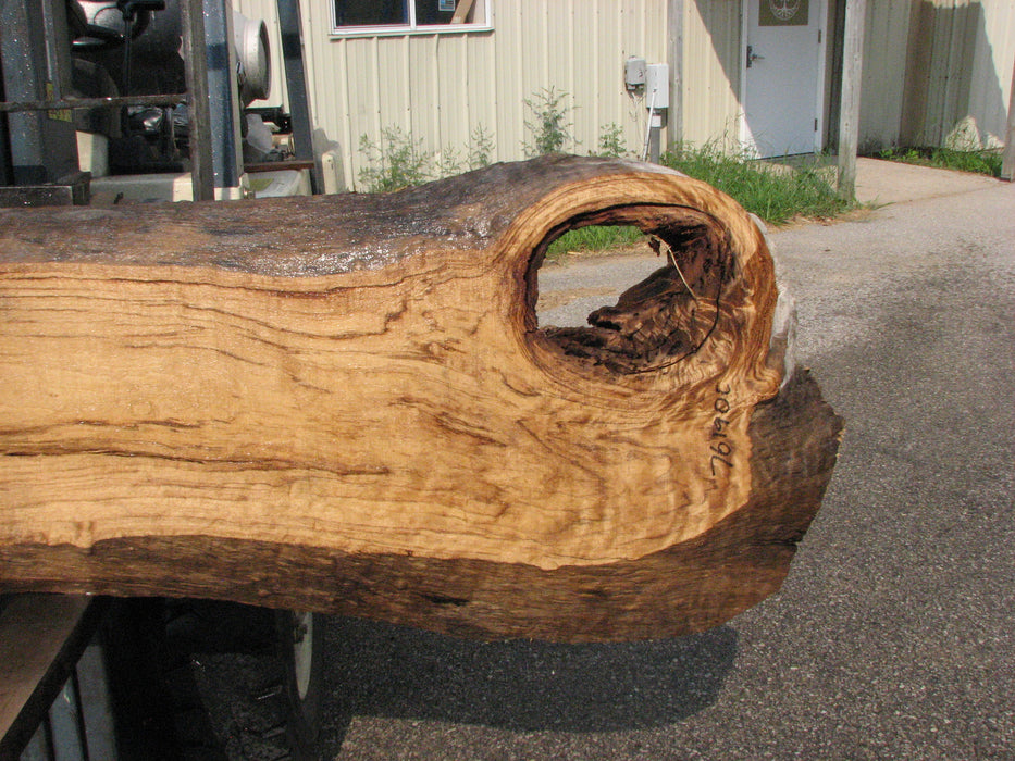 Cottonwood #7619(ROC) - 2-3/4" x 13" to 32" x 96" (Back side is 19"-37" wide) FREE SHIPPING within the Contiguous US. freeshipping - Big Wood Slabs