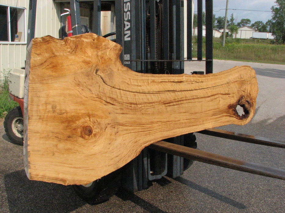 Cottonwood #7619(ROC) - 2-3/4" x 13" to 32" x 96" (Back side is 19"-37" wide) FREE SHIPPING within the Contiguous US. freeshipping - Big Wood Slabs