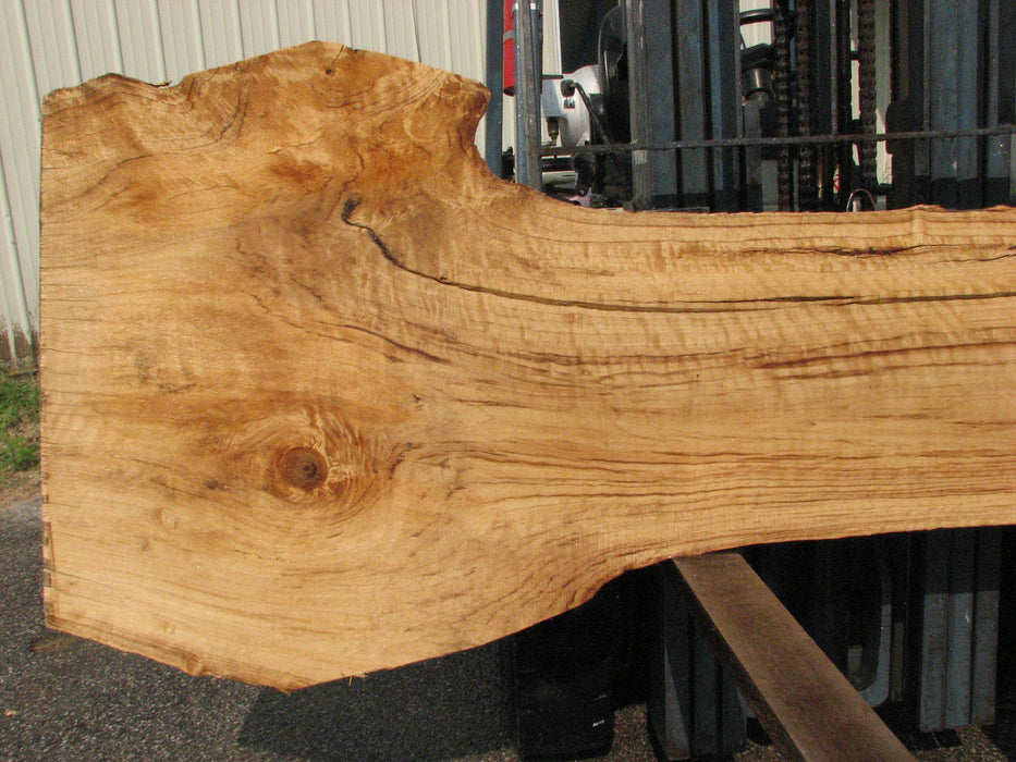 Cottonwood #7619(ROC) - 2-3/4" x 13" to 32" x 96" (Back side is 19"-37" wide) FREE SHIPPING within the Contiguous US. freeshipping - Big Wood Slabs