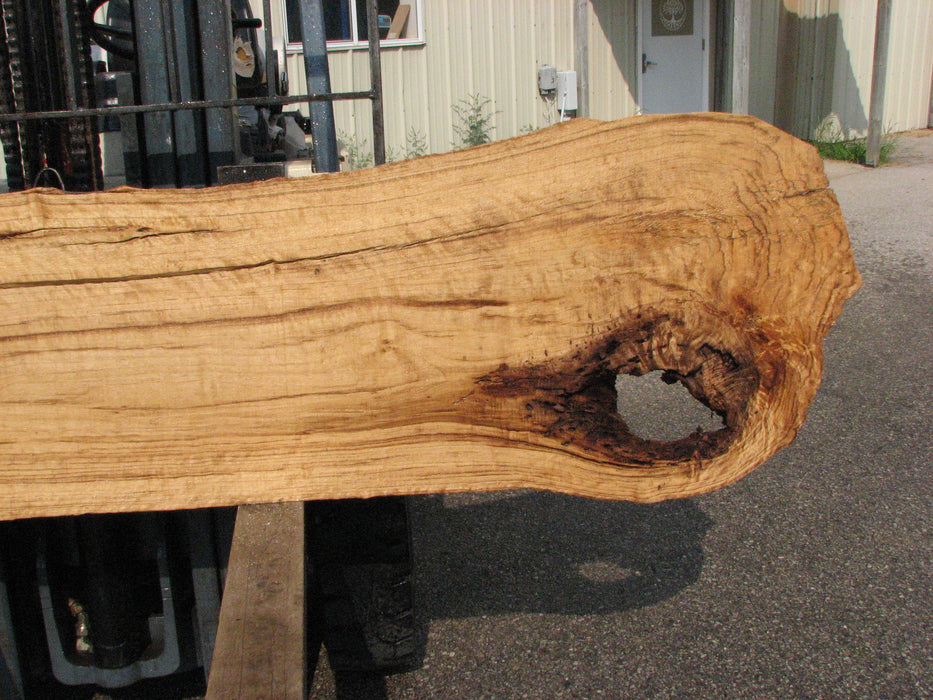 Cottonwood #7619(ROC) - 2-3/4" x 13" to 32" x 96" (Back side is 19"-37" wide) FREE SHIPPING within the Contiguous US. freeshipping - Big Wood Slabs