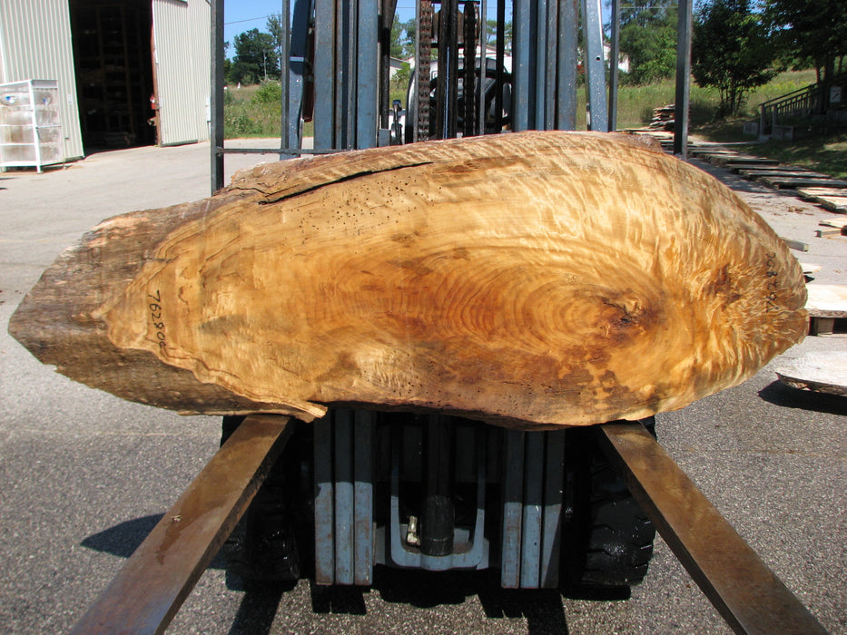 Cottonwood #7628(ROC) - 2-1/4" x 25" x 63" FREE SHIPPING within the Contiguous US. freeshipping - Big Wood Slabs