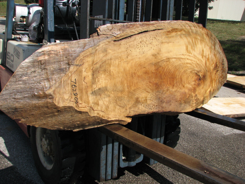 Cottonwood #7628(ROC) - 2-1/4" x 25" x 63" FREE SHIPPING within the Contiguous US. freeshipping - Big Wood Slabs