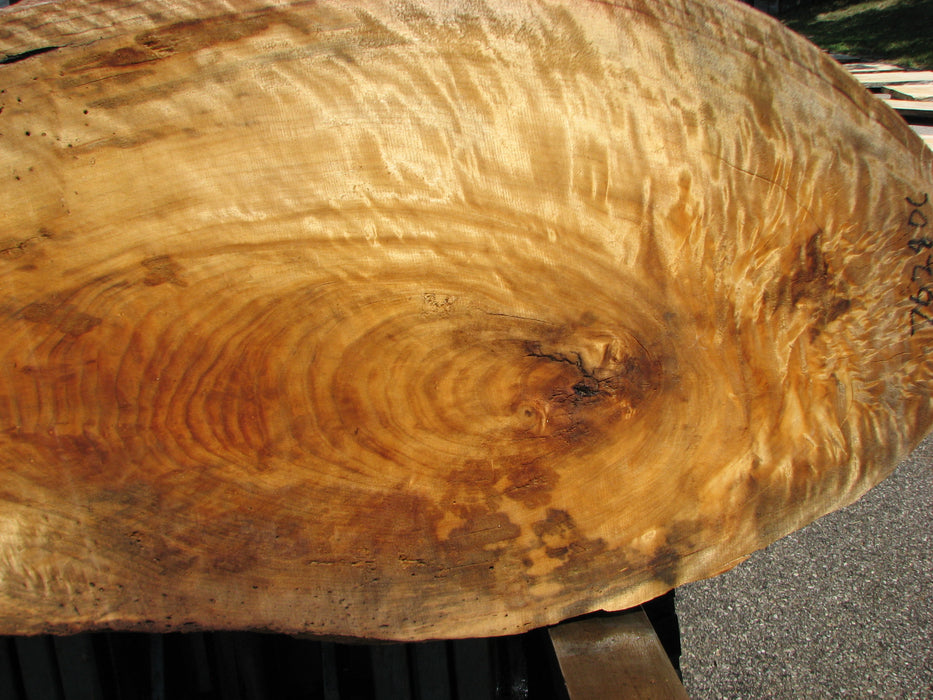 Cottonwood #7628(ROC) - 2-1/4" x 25" x 63" FREE SHIPPING within the Contiguous US. freeshipping - Big Wood Slabs