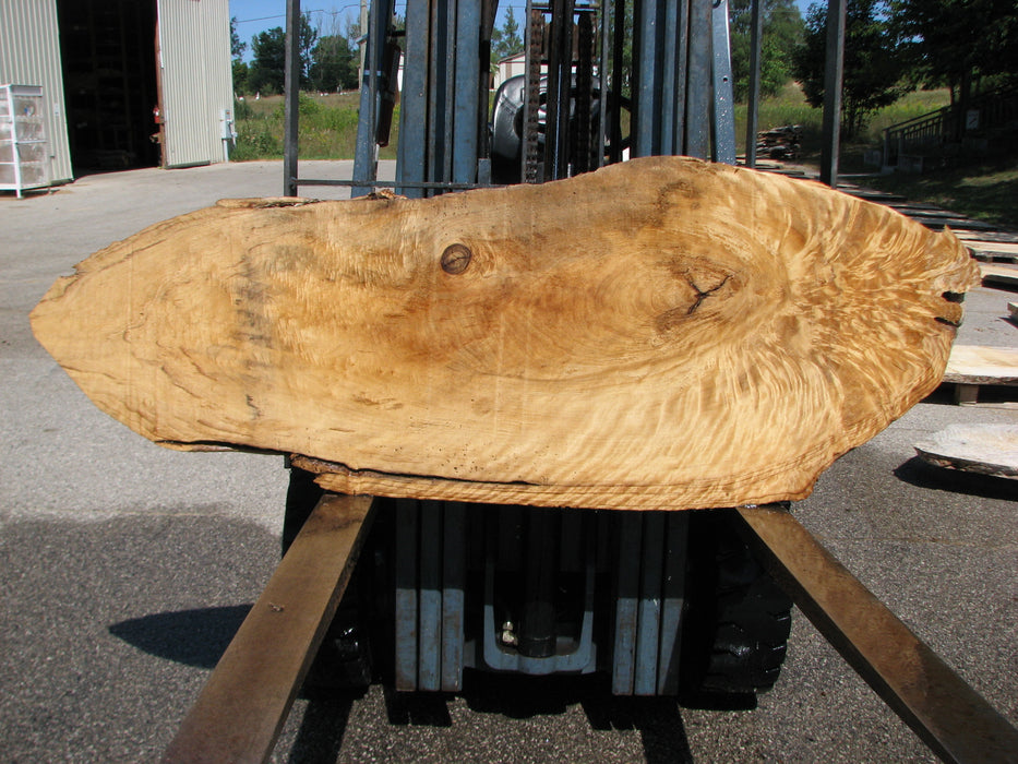 Cottonwood #7628(ROC) - 2-1/4" x 25" x 63" FREE SHIPPING within the Contiguous US. freeshipping - Big Wood Slabs