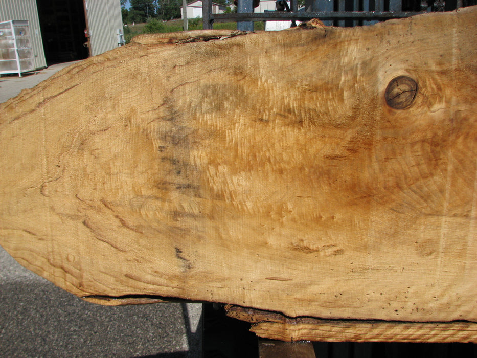Cottonwood #7628(ROC) - 2-1/4" x 25" x 63" FREE SHIPPING within the Contiguous US. freeshipping - Big Wood Slabs