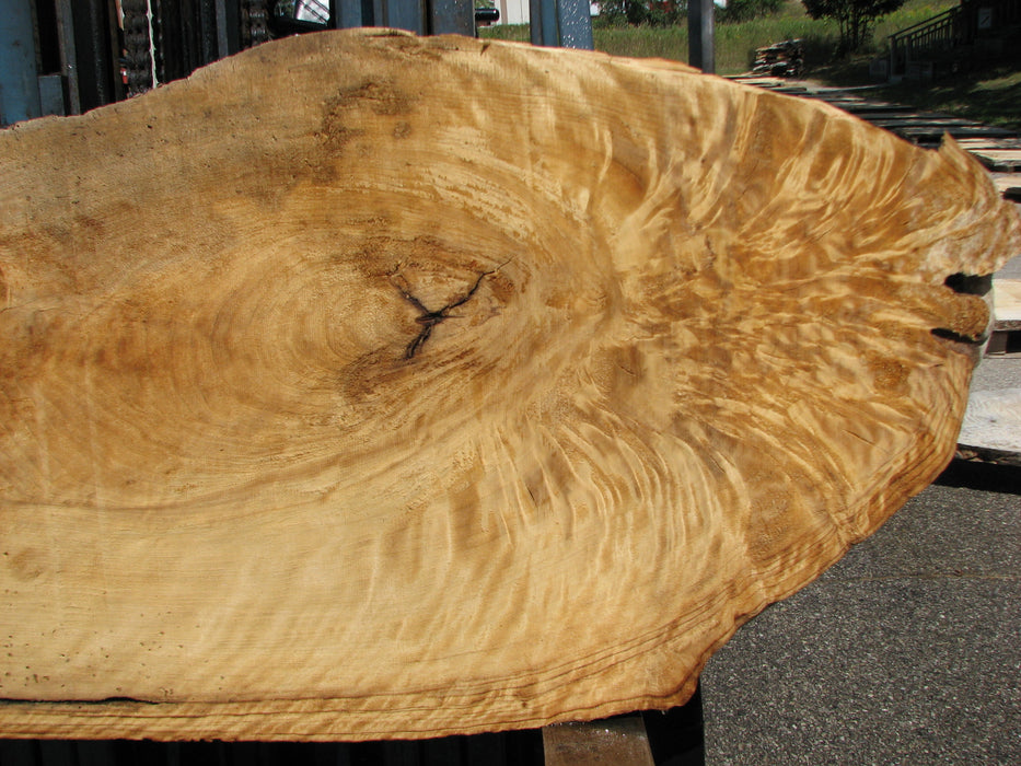 Cottonwood #7628(ROC) - 2-1/4" x 25" x 63" FREE SHIPPING within the Contiguous US. freeshipping - Big Wood Slabs