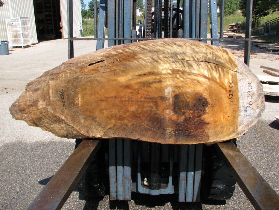 Cottonwood #7629(ROC) - 2-1/4" x 23" x 46" FREE SHIPPING within the Contiguous US. freeshipping - Big Wood Slabs