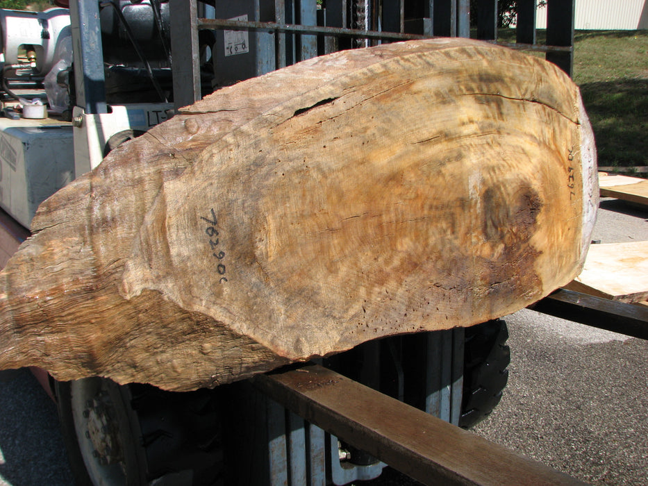 Cottonwood #7629(ROC) - 2-1/4" x 23" x 46" FREE SHIPPING within the Contiguous US. freeshipping - Big Wood Slabs