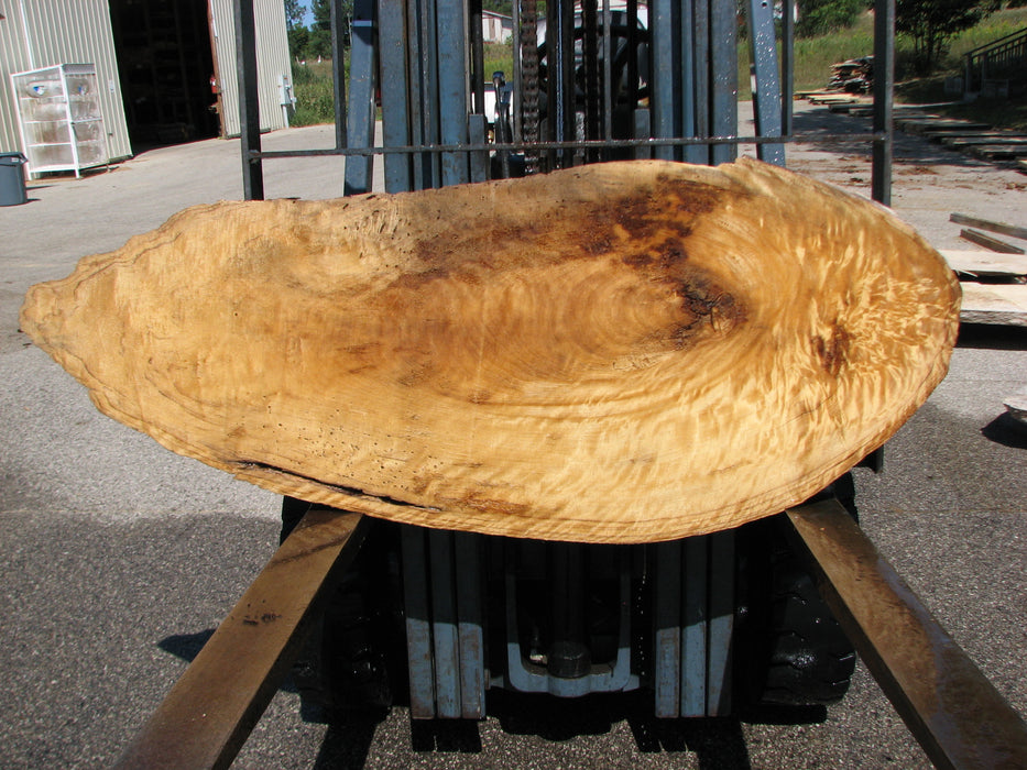 Cottonwood #7629(ROC) - 2-1/4" x 23" x 46" FREE SHIPPING within the Contiguous US. freeshipping - Big Wood Slabs