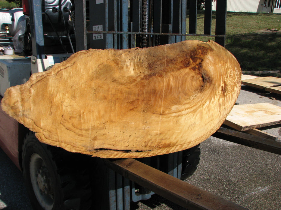 Cottonwood #7629(ROC) - 2-1/4" x 23" x 46" FREE SHIPPING within the Contiguous US. freeshipping - Big Wood Slabs