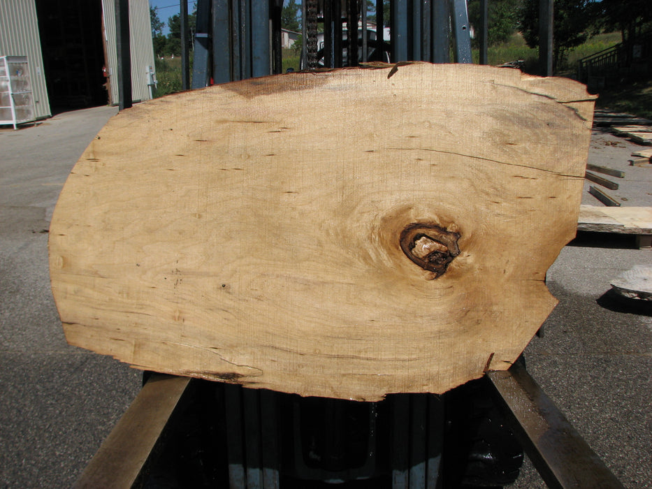 Cottonwood #7630(ROC) - 1-1/2" x 24" x 51" FREE SHIPPING within the Contiguous US. freeshipping - Big Wood Slabs