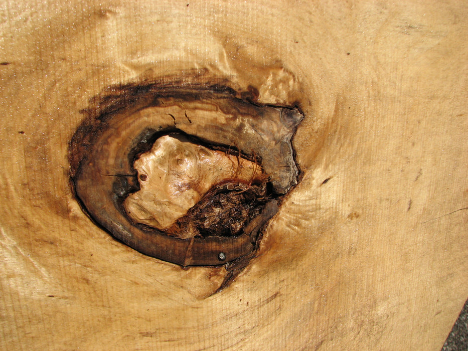 Cottonwood #7630(ROC) - 1-1/2" x 24" x 51" FREE SHIPPING within the Contiguous US. freeshipping - Big Wood Slabs