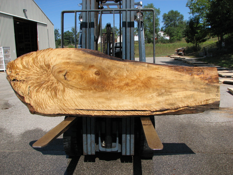 Cottonwood #7632(ROC) - 2-1/4" x 8" to 29" x 96" FREE SHIPPING within the Contiguous US. freeshipping - Big Wood Slabs
