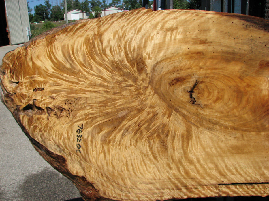 Cottonwood #7632(ROC) - 2-1/4" x 8" to 29" x 96" FREE SHIPPING within the Contiguous US. freeshipping - Big Wood Slabs