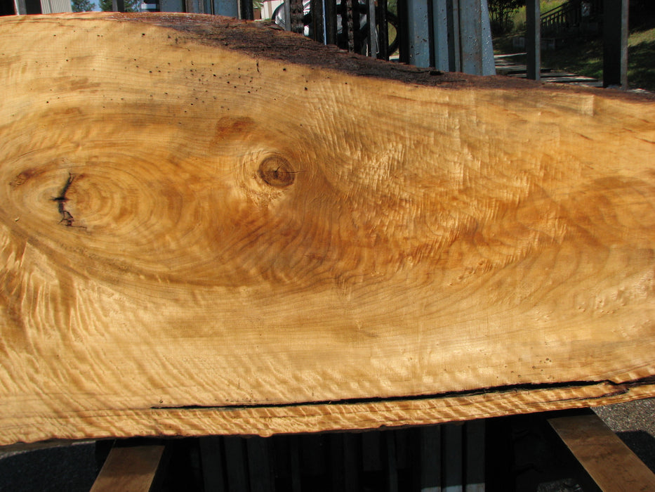 Cottonwood #7632(ROC) - 2-1/4" x 8" to 29" x 96" FREE SHIPPING within the Contiguous US. freeshipping - Big Wood Slabs