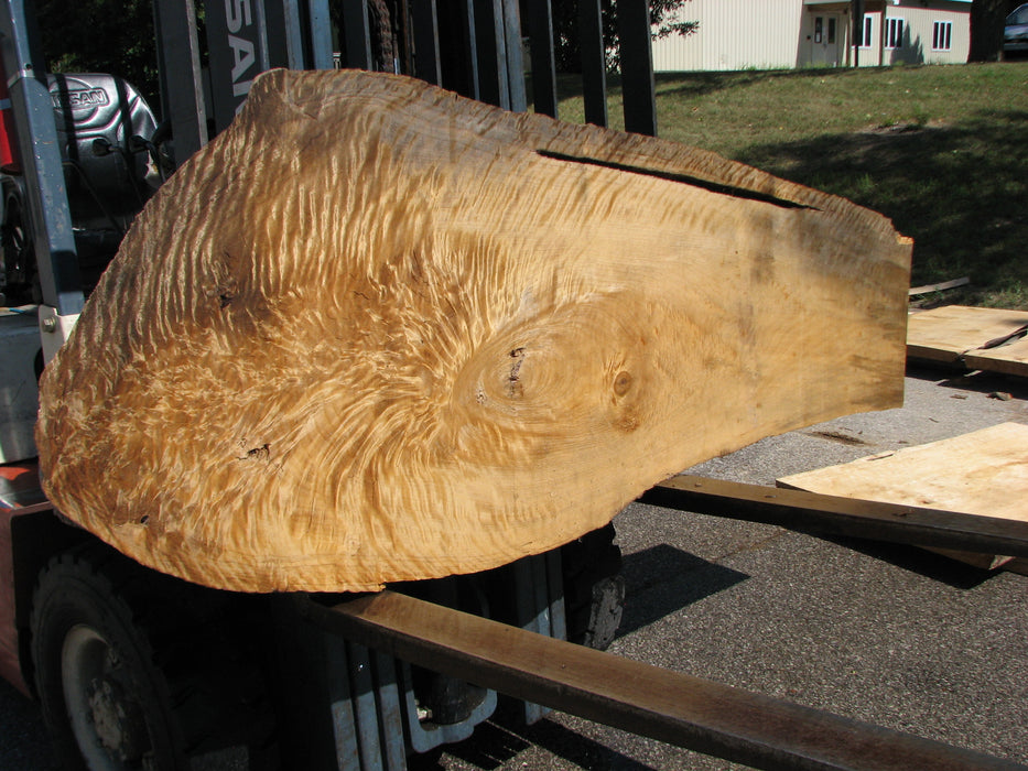 Cottonwood #7632(ROC) - 2-1/4" x 8" to 29" x 96" FREE SHIPPING within the Contiguous US. freeshipping - Big Wood Slabs