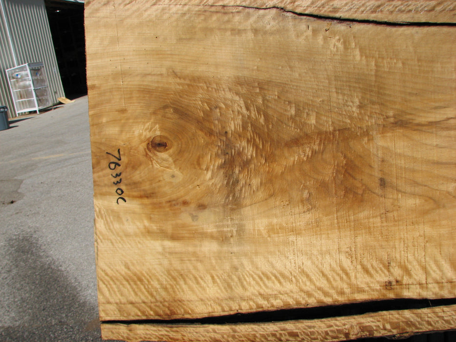 Cottonwood #7633(ROC) - 2-1/2" x 27" to 33" x 55" FREE SHIPPING within the Contiguous US. freeshipping - Big Wood Slabs