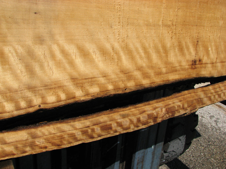 Cottonwood #7633(ROC) - 2-1/2" x 27" to 33" x 55" FREE SHIPPING within the Contiguous US. freeshipping - Big Wood Slabs