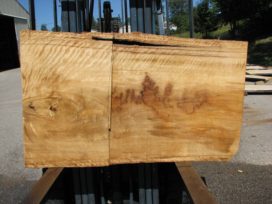 Cottonwood #7633(ROC) - 2-1/2" x 27" to 33" x 55" FREE SHIPPING within the Contiguous US. freeshipping - Big Wood Slabs