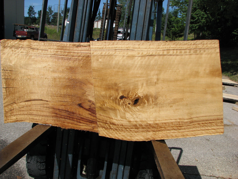 Cottonwood #7634(ROC) - 2-1/2" to 3" x 15" to 28" x 61" FREE SHIPPING within the Contiguous US. freeshipping - Big Wood Slabs