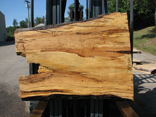 Maple, Spalted #7645(ROC) - 2-1/2" x 26" to 35" x 45" FREE SHIPPING within the Contiguous US. freeshipping - Big Wood Slabs
