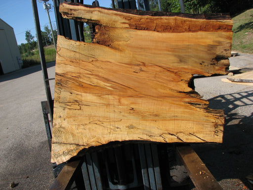 Maple, Spalted #7647(ROC) - 4" x 32" to 44" x 46" FREE SHIPPING within the Contiguous US. freeshipping - Big Wood Slabs