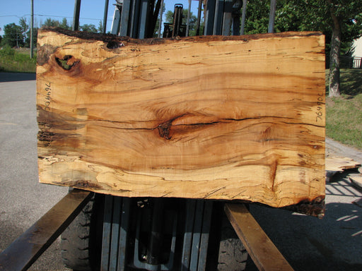 Maple, Spalted #7649(ROC) - 2-1/2" x 30" to 37" x 59" FREE SHIPPING within the Contiguous US. freeshipping - Big Wood Slabs