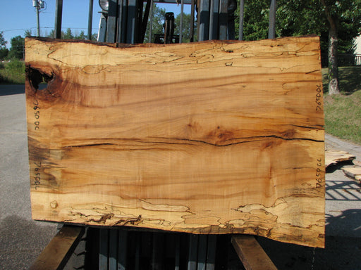 Maple, Spalted #7650(ROC) - 2-1/4" x 32" to 40" x 55" FREE SHIPPING within the Contiguous US. freeshipping - Big Wood Slabs