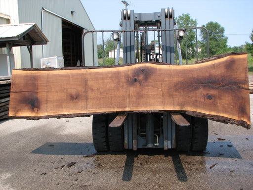 Walnut, American #7690(LA) 1-3/8" to 2-1/2" x 24" to 38" x 136" - FREE SHIPPING within the Contiguous US. freeshipping - Big Wood Slabs