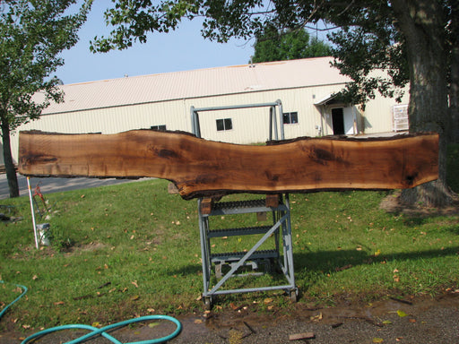 Walnut, American #7852(LA) 2" x 11" to 16" x 120" - FREE SHIPPING within the Contiguous US. freeshipping - Big Wood Slabs