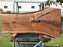 Walnut, American #7859(LA) - 4" x 11" to 22" x 46" - FREE SHIPPING within the Contiguous US. freeshipping - Big Wood Slabs