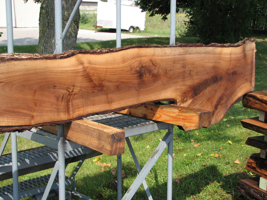 Walnut, American #7869(LA) - 1-1/2" x 7" to 15" x 66" - FREE SHIPPING within the Contiguous US. freeshipping - Big Wood Slabs