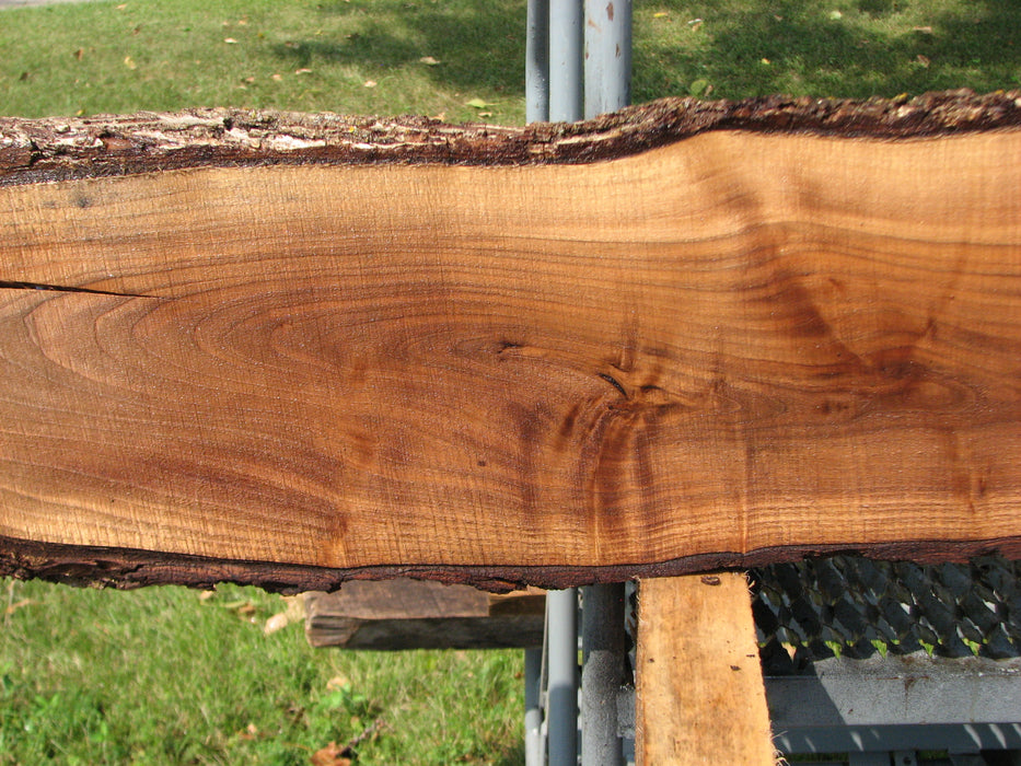 Walnut, American #7869(LA) - 1-1/2" x 7" to 15" x 66" - FREE SHIPPING within the Contiguous US. freeshipping - Big Wood Slabs