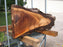 Walnut, American #7877(LA) - 2" x 14" x 31" - FREE SHIPPING within the Contiguous US. freeshipping - Big Wood Slabs
