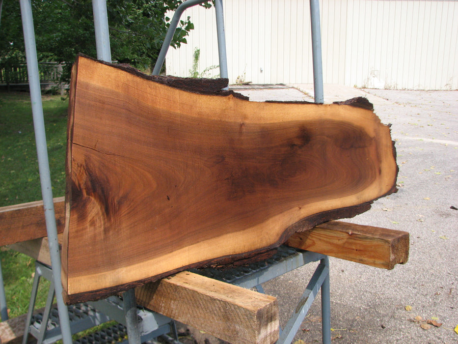 Walnut, American #7877(LA) - 2" x 14" x 31" - FREE SHIPPING within the Contiguous US. freeshipping - Big Wood Slabs