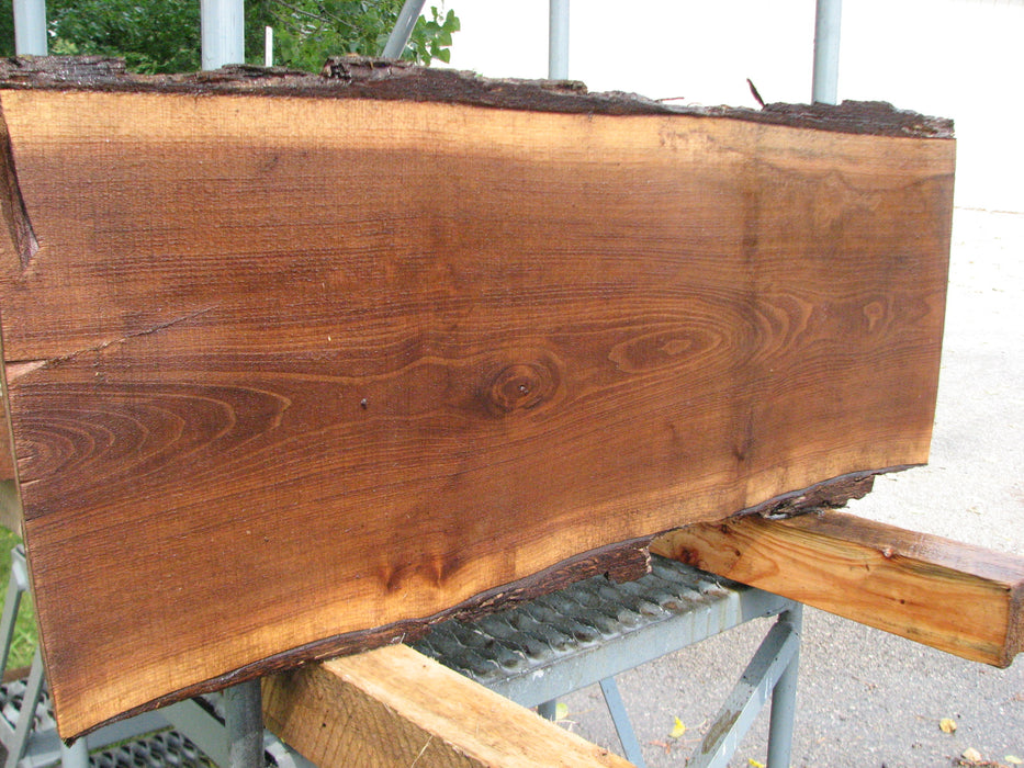 Walnut, American #7882(LA) - 2" x 9" to 11" x 37" - FREE SHIPPING within the Contiguous US. freeshipping - Big Wood Slabs
