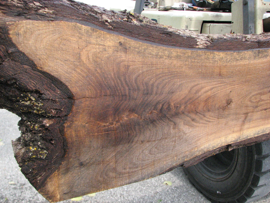 Walnut, American #7893(LA) - 4" x 9" to 11" x 153" - FREE SHIPPING within the Contiguous US. freeshipping - Big Wood Slabs