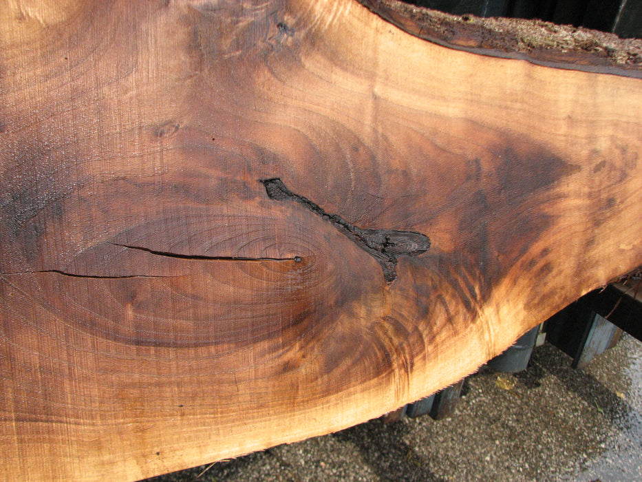 Walnut, American #7895(LA) - 4" x 7" to 16" x 129" - FREE SHIPPING within the Contiguous US. freeshipping - Big Wood Slabs